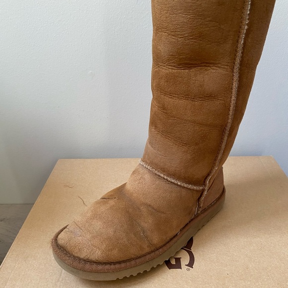 Tall UGGS in Chestnut - Picture 4 of 14